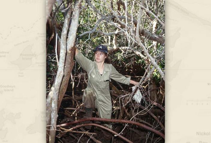 Image of researcher moving through the mangroves.